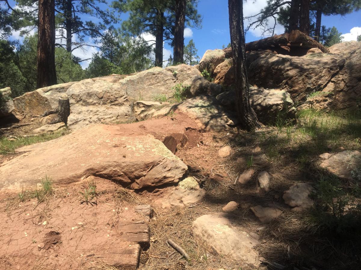 Glorieta Enduro Trails Mountain Bike Trail in Glorieta, New Mexico